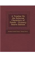 A Treatise on the External Characters of Fossils - Primary Source Edition