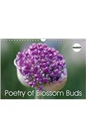 Poetry of Blossom Buds 2018