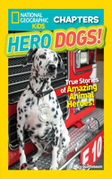 Hero Dogs!