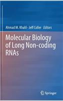 Molecular Biology of Long Non-Coding Rnas