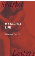 My Secret Life - Volumes I to III