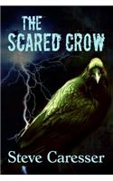 Scared Crow