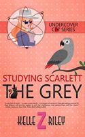 Studying Scarlett The Grey