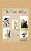 Flash Tickles the Keys