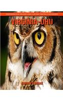 Virginia-Uhu