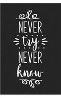Never Try Never Know: A 6x9 Inch Matte Softcover Journal Notebook with 120 Blank Lined Pages with an Uplifting Positive Cover Slogan