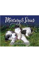 Mercury & Sirius