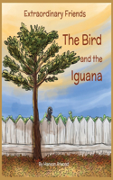 Bird and the Iguana