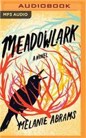 Meadowlark