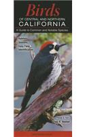 Birds of Central & Northern California