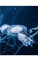 Jellyfish Notebook