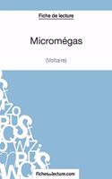 Micromégas - Voltaire (Fiche de lecture)
