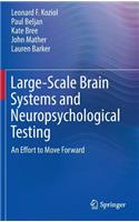 Large-Scale Brain Systems and Neuropsychological Testing