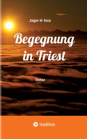 Begegnung in Triest - Ein spannender Politthriller