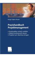 Praxishandbuch Projektmanagement