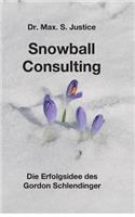 Snowball Consulting