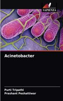 Acinetobacter