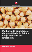 Melhoria da qualidade e da quantidade do feijão-caupi mediada por Rhizobium