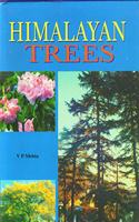Himalayan Trees