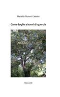 Come foglie ai rami di quercia