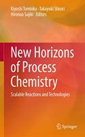 New Horizons of Process Chemistry