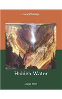 Hidden Water: Large Print