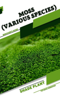Moss (Various species)