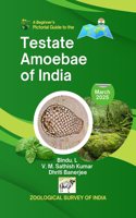 A Beginnerâ€™s Pictorial Guide to the Testate Amoebae of India