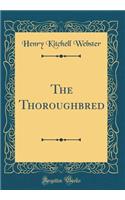 The Thoroughbred (Classic Reprint)