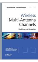 Wireless Multi-Antenna Channels