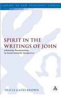 Spirit in the Writings of John