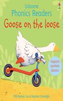 Goose on the loose: (Phonics Readers)