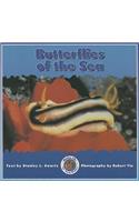 Butterflies of the Sea