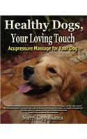 Healthy Dogs, Your Loving Touch