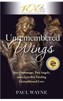 Unremembered Wings