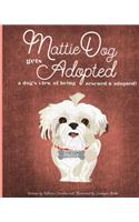 MattieDog Gets Adopted