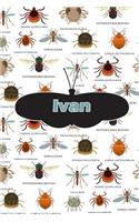 Ivan: Bug Insect Draw and Write Journal Notebook 120 Pages 6x9