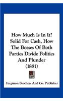 How Much Is In It? Solid For Cash, How The Bosses Of Both Parties Divide Politics And Plunder (1881): (English)