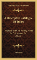 Descriptive Catalogue Of Tulips