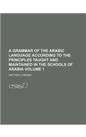 A Grammar of the Arabic Language According to the Principles Taught and Maintained in the Schools of Arabia Volume 1