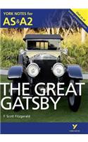 The Great Gatsby: York Notes for AS & A2