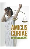 Amicus Curiae