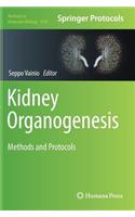 Kidney Organogenesis
