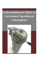 Understanding the Effects of Government Spending on Consumption