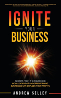 IGNITE Your Business!