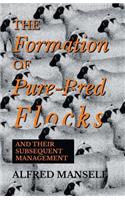 The Formation of Pure-Bred Flocks and Their Subsequent Management