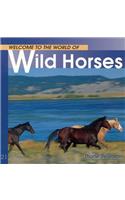 Welcome to the World of Wild Horses