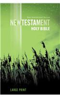 NIV New Testament