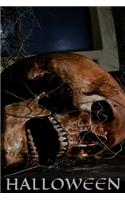 Skull, Halloween Notebook, Memory Book to Write or Draw , 6x9, 100 Beautiful Pages, Notes, Journal, Memory Book