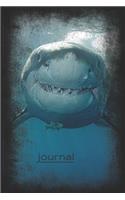 Journal